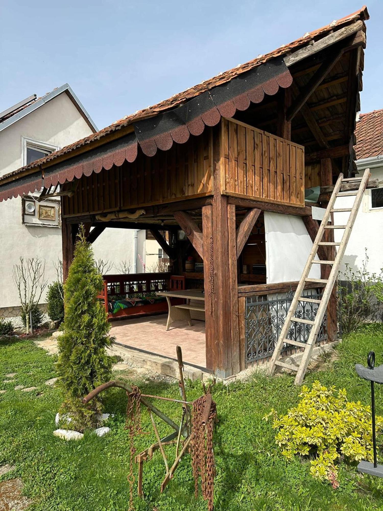 Casa Cezara Apartment Silvasu de Jos Exterior photo